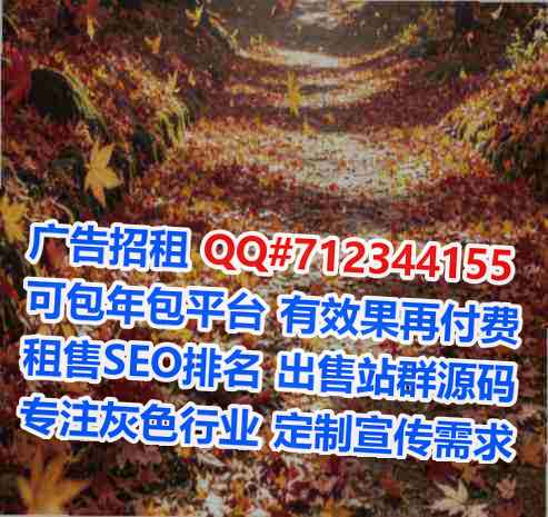 岚县借腹生子民宿有限公司